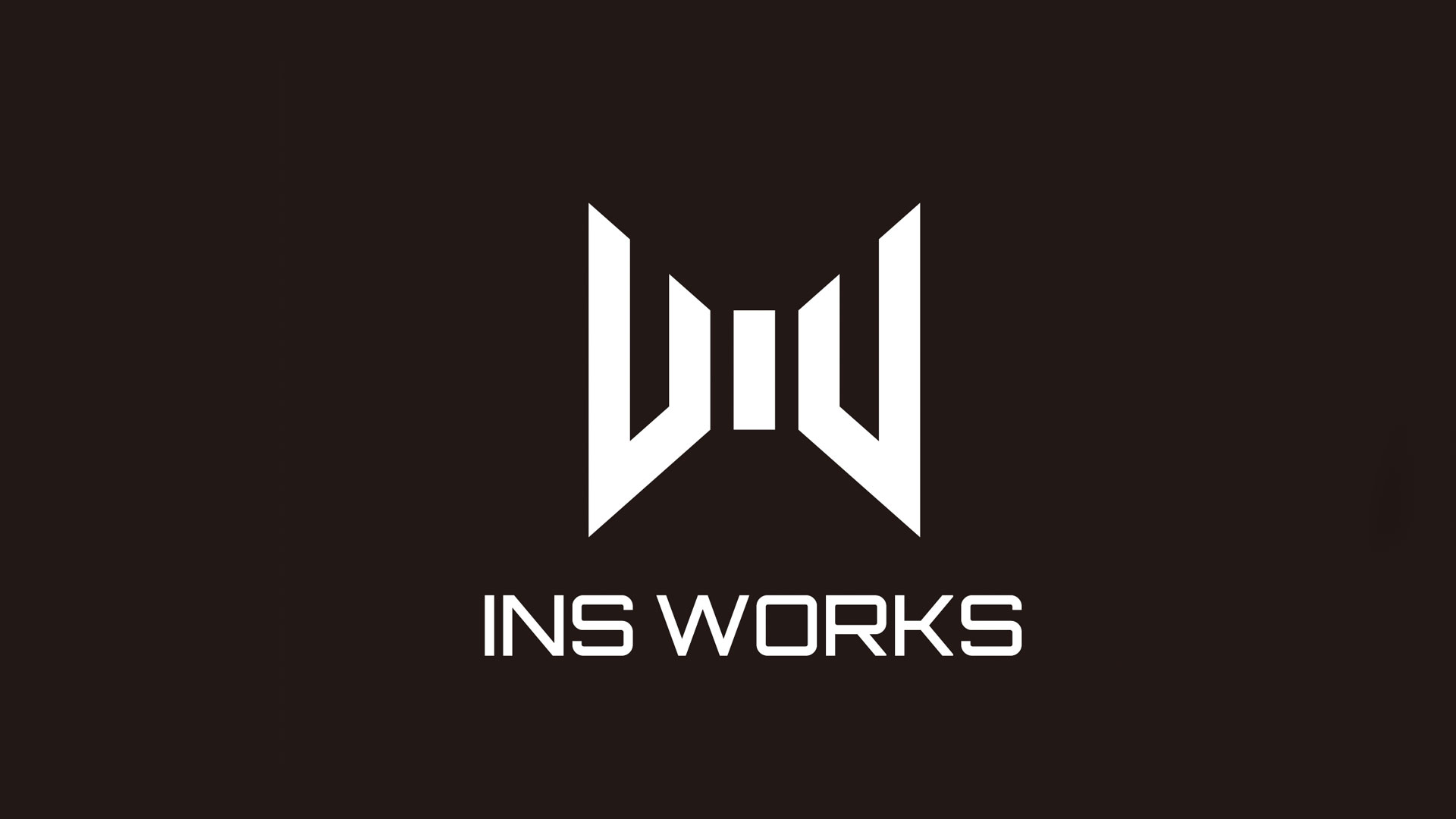 INS WORKS